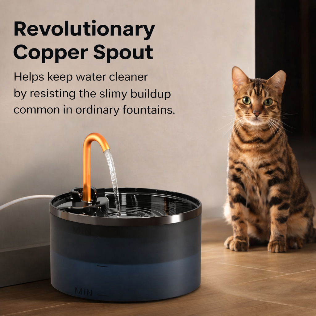 PureFlow ™  Fountain