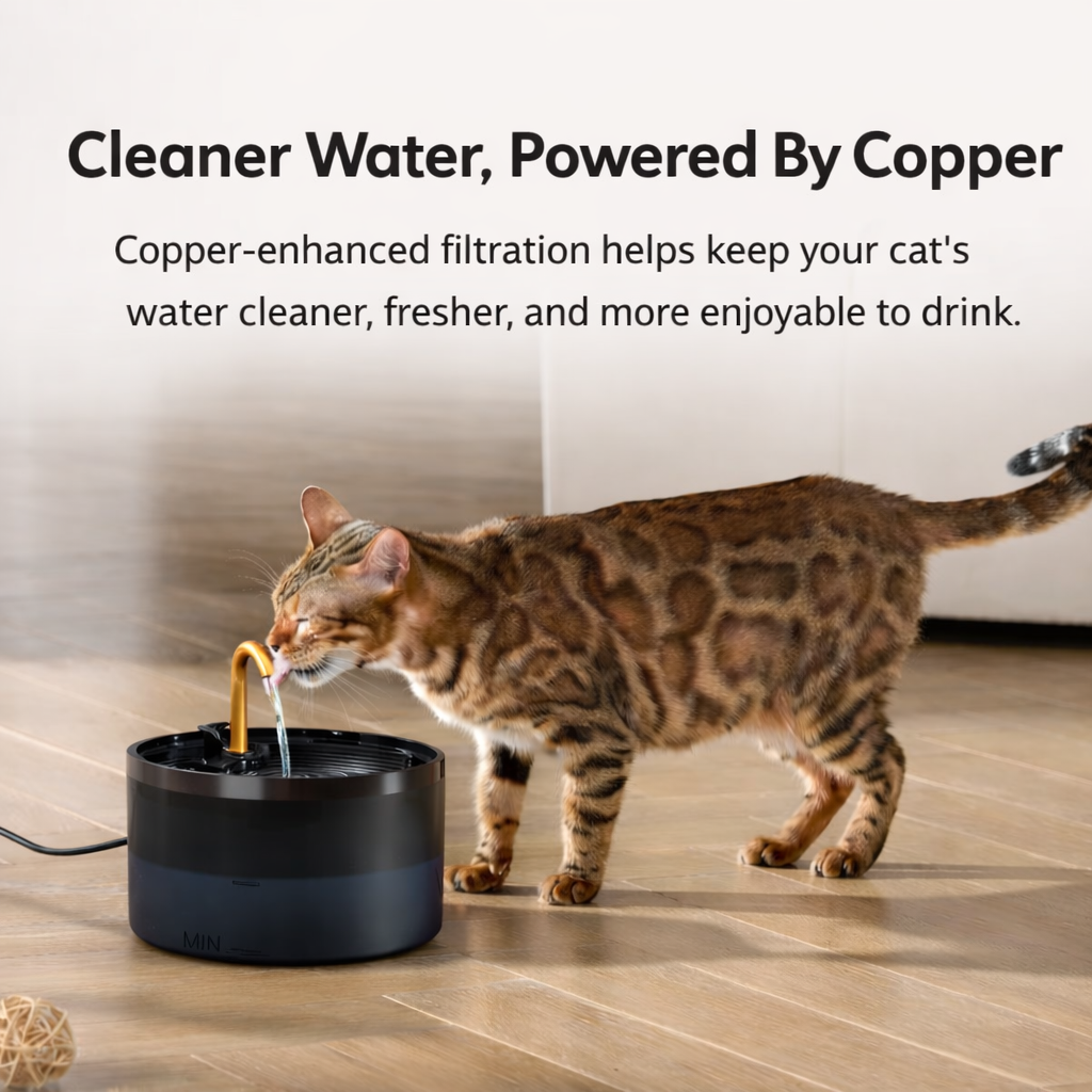 PureFlow ™  Fountain